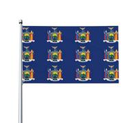 Drapeau de l'État de New York - 9,1 x 1,5 m - Bannière décorative pour jardin, cour, décoration de fête intérieure et extérieure