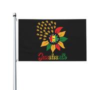 Drapeau de l'histoire des Noirs afro-américains, 90 x 150 cm, décoration de fête, tapisserie murale, pour l'extérieur