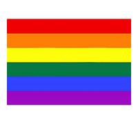 Drapeau de l'iris : drapeau de la fierté hétérosexuelle, drapeau de la fierté trans, drapeau de la fierté bi, drapeau pansexuel, drapeau non binaire, drapeau de la fierté du progrès | Drapeau LGBT