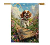 Drapeau de maison de chien Cavalier King Charles de printemps 71,1 x 101,6 cm double face pour décoration extérieure, jardin de campagne, chiot en toile, drapeau de maison, motif amusant pour animaux
