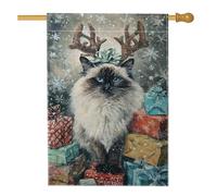 Drapeau de maison pour chat, cadeaux festifs de Noël en toile de jute rouge double face, drapeaux décoratifs pour extérieur, pelouse, cour, patio, entrée 71,1 x 101,6 cm