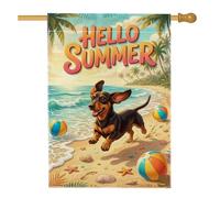 Drapeau de maison pour chien, ballon de plage tropical d'été bleu en toile de jute double face pour extérieur, cour, pelouse, terrasse, porte, entrée, 71,1 x 101,6 cm