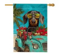 Drapeau de maison pour chien, poinsettia tropical festif pour voiture d'été turquoise double face en toile de jute pour extérieur, terrasse, cour, pelouse, entrée, balcon, 71 x 101 cm