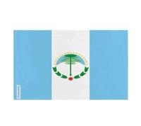 Drapeau de Neuquén Plusieurs Tailles en Polyester 60x90cm 5. 1 œillet chaque coin