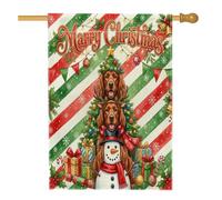 Drapeau de Noël étrange de Noël irlandais pour maison de chien, 71,1 x 101,6 cm, double face pour décoration extérieure, rouge et vert, drapeau de maison, vacances, extérieur, petit drapeau de pelouse