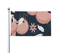 Drapeau De Pirate Résistants Aux Intempéries, Fruit Orange Décoratifs Bannière Extérieure Pour Balcon Jardin Drapeaux 90X150Cm