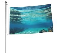 Drapeau de plage tropicale avec vue sous-marine 61 x 91 cm - Impression double face - Drapeau de jardin pour l'extérieur - Bannière cadeau avec œillets - Toile de fond pour photo pour intérieur et