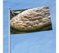 Drapeau de riz « Look At All That Rice » - 9,1 x 1,5 m - Double face - Résistant à la décoloration - Bannière de vœux d'extérieur avec œillets en laiton pour intérieur et extérieur - Pour jardin
