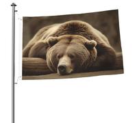 Drapeau de sommeil ours 6 x 0,9 m double face avec œillets en laiton qui ne se décolore pas, bannière de vœux, décoration d'intérieur ou d'extérieur