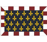 DRAPEAU DE TOURAINE FRANCE. QUALITÉ SATIN PREMIUM. DIMENSION 150X90