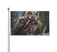 Drapeau de Vacances 90X150cm, Oiseaux hiboux sauvages Renforcé Drapeau Pirate Double Couture Bannière Extérieure pour manif Maison Restaurant