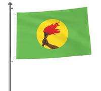 Drapeau De Vacances Avec Œillets, Drapeau Du Zaïre (1971-1997) Décoratifs Suspendus Fanion Pour Bar Manif Drapeaux 90X150Cm