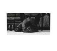 Drapeau de vacances imprimé bouledogue français, bannière colorée idéale pour les bars de jardin et les réunions entre amis