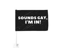 Drapeau de voiture 12x18 pouces pour sons de voiture gay, je suis dans le drapeau de voiture drôle LGBTQ Clip de fenêtre double face Drapeau de fenêtre anti-décoloration Drapeaux de fenêtre de voiture