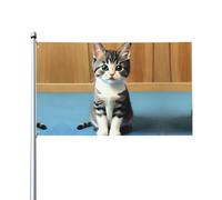Drapeau décoratif d'extérieur imprimé chaton de chambre à coucher pour décorations de fête intérieures ou extérieures - 3 x 5 pieds