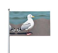 Drapeau décoratif d'extérieur imprimé mouette mignonne pour décorations de fête intérieures ou extérieures - 3 x 5 pieds
