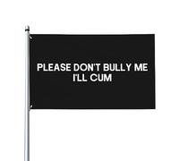 Drapeau décoratif d'extérieur « Please Don't Bully Me Funny Premium » de 3 x 5 pieds - Couleurs vives, coupe-vent et résistant à l'eau - Idéal pour le jardin et les événements