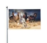 Drapeau décoratif double face avec motif cheval dans le désert tempête, avec trous de suspension, adaptés pour accrocher dans les jardins et les porches.