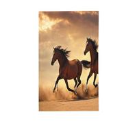 Drapeau décoratif imprimé à rayures de cheval pour toutes les saisons - Impression sur un seul côté - Intérieur et extérieur - Affichage transparent