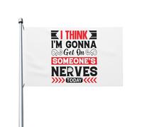 Drapeau Décoratif Je Crois Que Je Vais Énerver Quelqu'Un Aujourd'Hui Double Face Drapeau Suspendre Bannière Décorative Pour Intérieur Vacances Porche 3X5 Ft