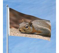 Drapeau d'écureuil juste couché 61 x 91 cm double face sans décoloration drapeau de jardin drapeau de cour drapeau de cour avec bannière extérieure en laiton décoration pour cour, porche, pelouse