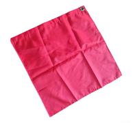 Drapeau d'entraînement pour chevaux avec boucle en aluminium, idéal pour les activités équestres (rouge)
