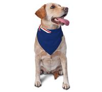 Drapeau des îles Turques et Caïques pour animal domestique Bandana triangle pour chats et chiens Réglable