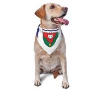 Drapeau des Territoires du Nord-Ouest - Bandana triangle réglable pour chats et chiens