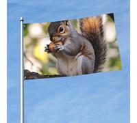 Drapeau d'extérieur double face de 0,9 x 1,5 m - Grande bannière de vacances avec 2 œillets en laiton - Écureuil mangeur de noix - Drapeau de cour pour toutes les saisons - Drapeaux de jardin de