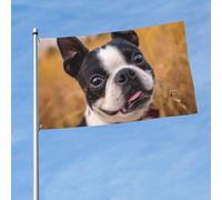 Drapeau d'extérieur double face de 0,9 x 1,5 m - Grande bannière de vacances avec 2 œillets en laiton - Joli drapeau terrier de Boston - Pour toutes les saisons - Pour jardin, cour, pelouse