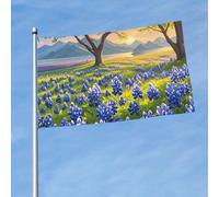 Drapeau d'extérieur double face de 0,9 x 1,5 m - Grande bannière de vacances avec 2 œillets en laiton - Paysage du Texas Bluebonnets - Drapeau de cour pour toutes les saisons - Drapeaux de jardin de