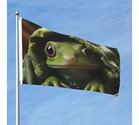 Drapeau d'extérieur double face de 61 cm avec 2 œillets en laiton - Grenouille verte qui sort la tête - Drapeau de jardin pour toutes les saisons - Pour décoration extérieure