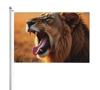 Drapeau d'extérieur double face en colère - 1,2 x 1,8 m - Polyester résistant aux intempéries - Couleurs vives - Pour jardin, cour, terrasse ou maison