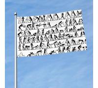Drapeau d'extérieur imprimé aux couleurs vives des lutteurs - 0,9 x 1,5 m - Motif audacieux - Pour défilé, événement, cour, terrasse et maison