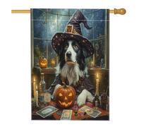 Drapeau d'Halloween pour maison de chien de sorcière Border Collie 71,1 x 101,6 cm pour extérieur, tarot, astrologie chiot, drapeau vertical standard en lin, motif sorcière avant cour arrière