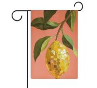 Drapeau disco rétro en toile de jute double face 30,5 x 45,7 cm