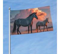 Drapeau double face 200D - Chevaux rouges - Nuages lumineux - Décoration extérieure avec œillets en laiton - Pour toutes les saisons - 90 cm x 150 cm
