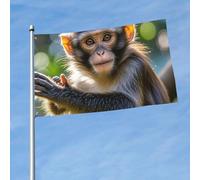 Drapeau double face 200D - Motif singe mignon - Décoration extérieure avec œillets en laiton - Pour toutes les saisons - 90 cm x 150 cm