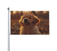 Drapeau double face « A dog under the sunset » de 0,9 x 1,5 m - Bannière robuste d'extérieur et de jardin, parfaite pour la chambre à coucher et le jardin