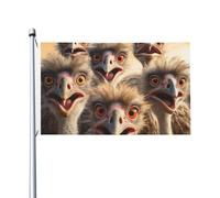 Drapeau double face de 0,9 x 1,5 m - Drapeau décoratif 200D lourd pour l'extérieur - Un flocage d'autruches - Drapeau de bienvenue avec 2 œillets - Pour l'extérieur, les vacances, les mariages