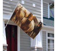 Drapeau double face de 0,9 x 1,5 m pour décoration extérieure, drapeaux de nombreux chevaux, drapeaux de jardin lourds 200D, œillets en laiton, bannière extérieure pour les vacances