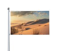 Drapeau double face de 0,9 x 1,5 m pour extérieur, cour, dunes de sable, bannière de bienvenue pour maison, jardin, cour, pelouse, décoration intérieur/extérieur, bannière de vacances