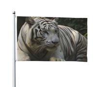 Drapeau double face de 1,2 x 1,8 m - Drapeau de cour extérieur blanc - Tigre du Bengale - Drapeaux de bienvenue pour la maison, le jardin, la pelouse, la décoration d'intérieur/extérieur - Bannière de
