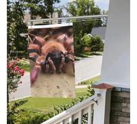 Drapeau double face de 6,1 x 0,9 m - Grande tarentule rose mexicaine - Bannière amusante de bienvenue pour la maison, le jardin, la cour, la pelouse, la décoration d'intérieur/extérieur