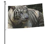 Drapeau double face de 60 x 0,9 cm - Drapeau extérieur - Tigre du Bengale - Bannière amusante de bienvenue pour la maison, le jardin, la cour, la pelouse, la décoration d'intérieur/extérieur