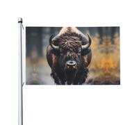 Drapeau double face imprimé bison d'Amérique du Nord 0,9 x 1,5 m, léger et résistant aux couleurs avec boutonnières, idéal pour les fêtes en plein air et les jardins.