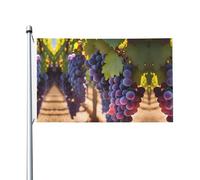 Drapeau double face imprimé raisins du désert 0,9 x 1,5 m, léger et inaltérable avec boutonnières, idéal pour les fêtes en plein air et les jardins.