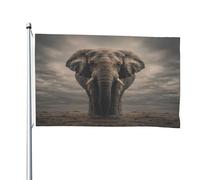 Drapeau double face « The Elephant on the grassland » de 1,2 x 1,8 m - Bannière robuste d'extérieur et de jardin, parfaite pour la chambre à coucher et le jardin