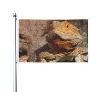 Drapeau Dragon Barbu 152 cm x 91 cm avec œillets, en polyester double face pour jardin