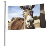 Drapeau drôle d'âne 61 x 91 cm avec impression double face pour l'extérieur, les vacances, bannière cadeau avec œillets, toile de fond pour photo pour décoration intérieure et extérieure